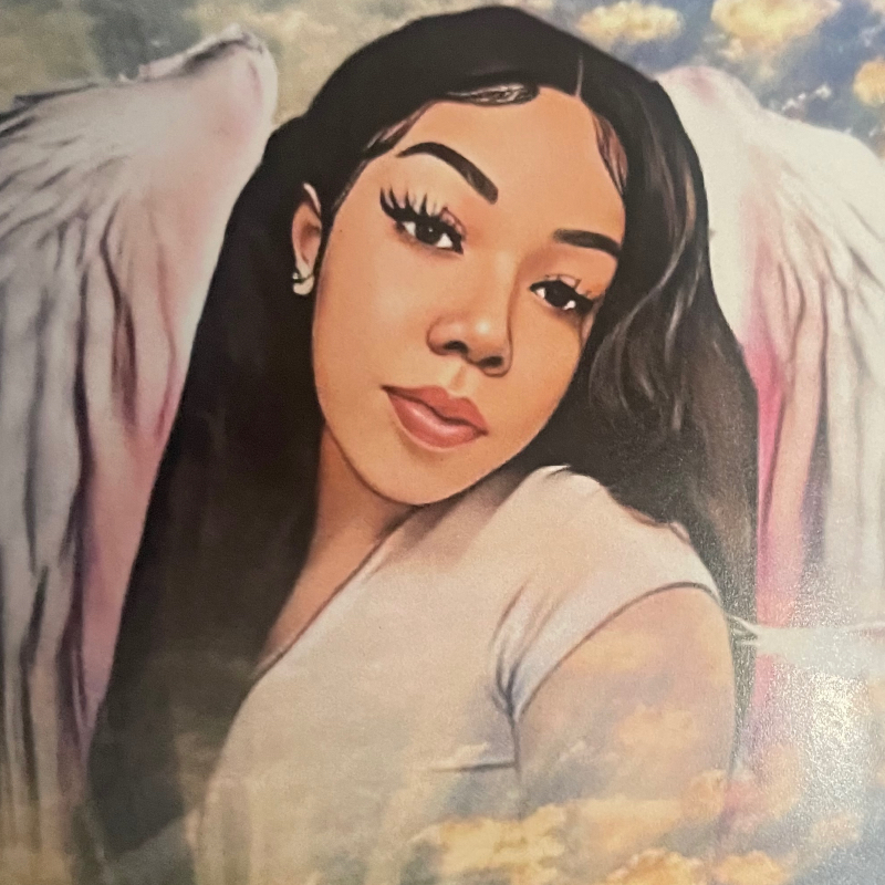 Obituary of Elexis Ann Dampier Hazel Crest Illinois