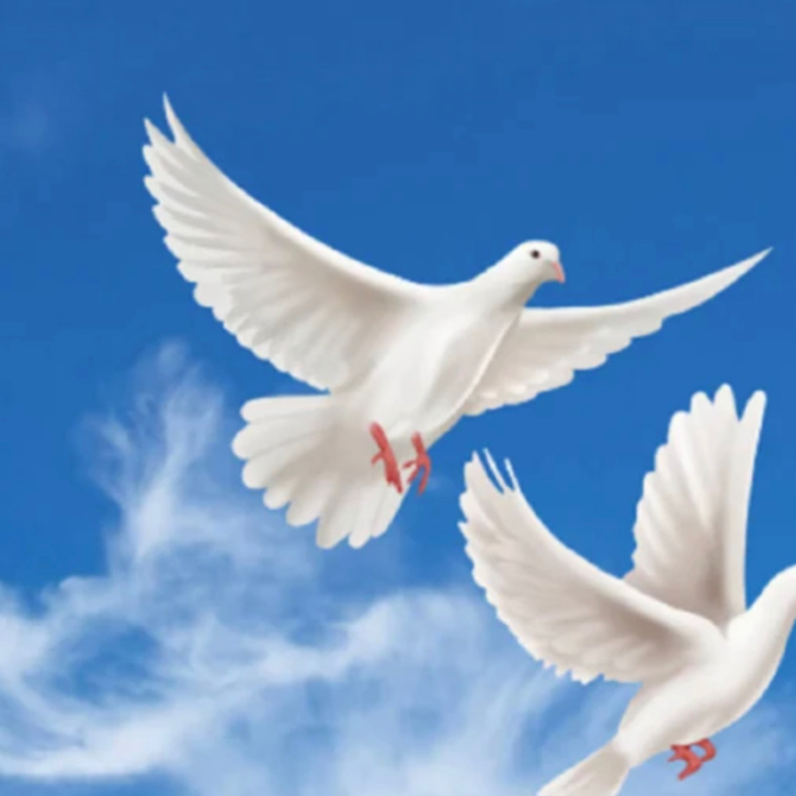 Henry Odell Durham obituary